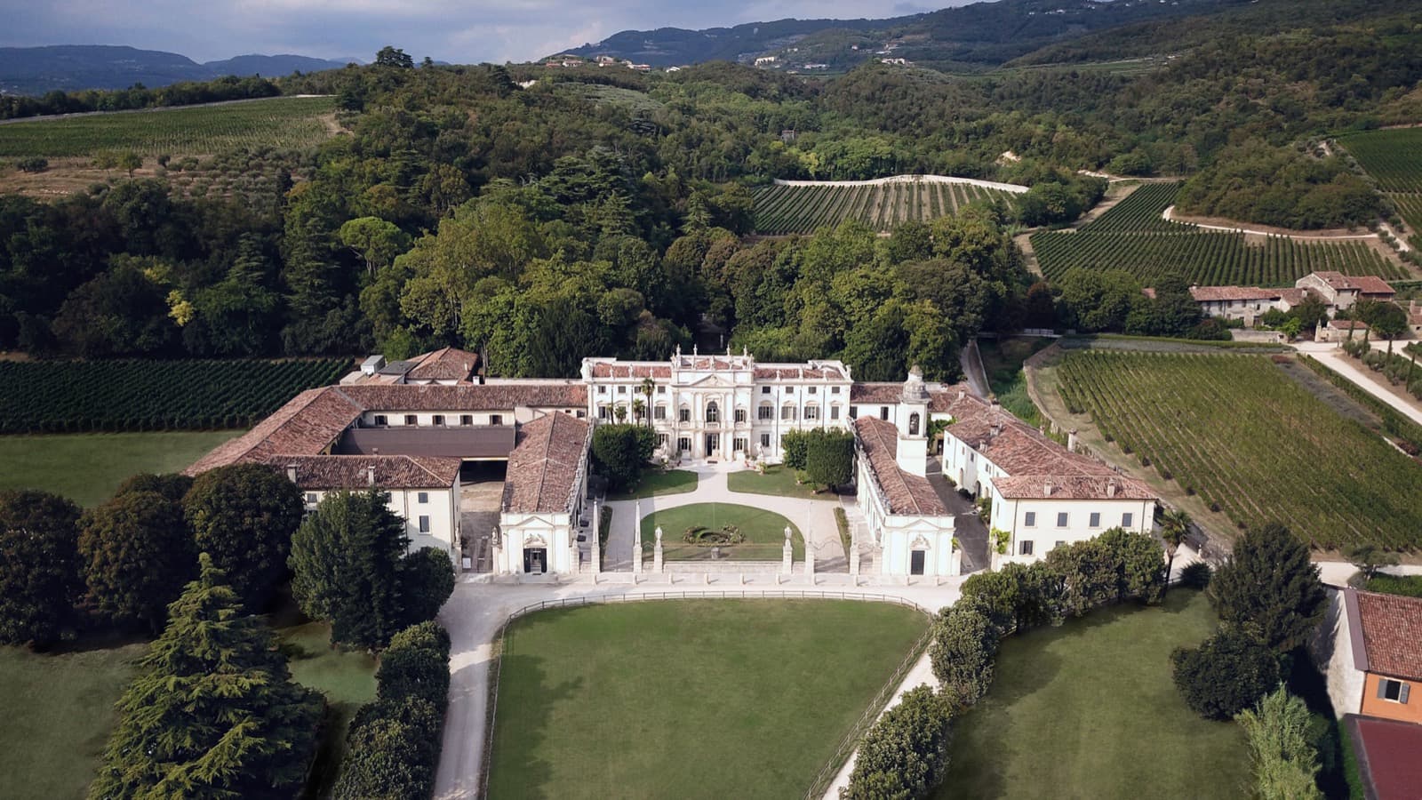 Wijngaarden in Valpolicella, Veneto